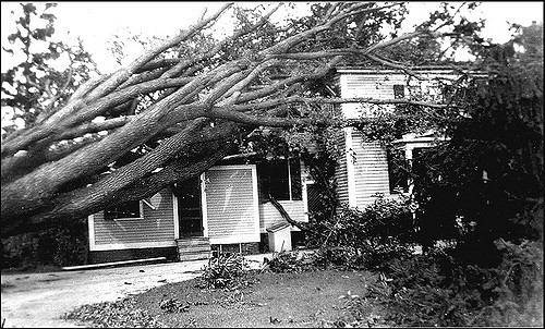 emergency-response-system-disaster-3 Emergency Response Systems Disaster